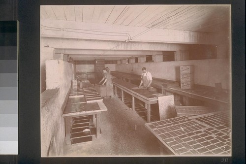 [Factory workers making chocolate bars.]