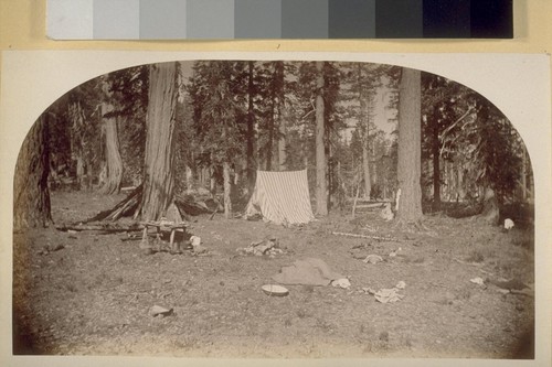 Buck horn Camp. 1881