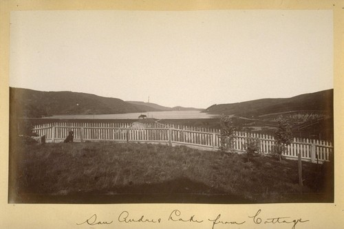 San Andres [i.e San Andreas?] Lake from Cottage. 1881