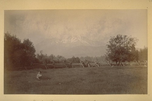 Mt. Shasta (14,440 ft.) from Sisson's. 1883