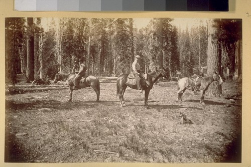 At Buck horn Camp. 1881