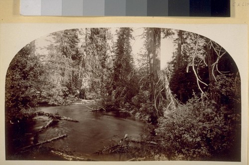 Stream from the Big Spring. 1881