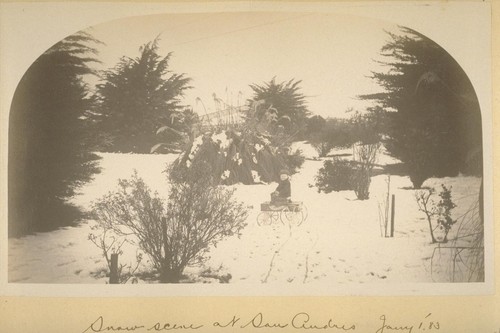At the Cottage. San Andres [i.e. San Andreas Lake?]. 1882