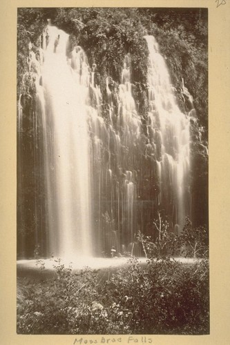 Falls on the Sacramento above Soda Springs. 1882. [Mossbrae Falls.]