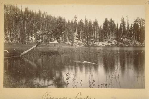 Picayune Lake. 1882