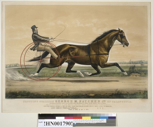 Trotting Stallion George M. Patchen, Jr. of California: by George M. Patchen, dam by bellfounder