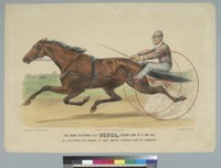 The Grand California Filly Sunol, record 2:10 1/2 at 3 yrs. old [horse ...