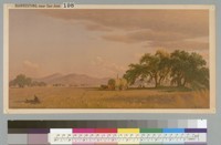 Harvesting near San Jose, California