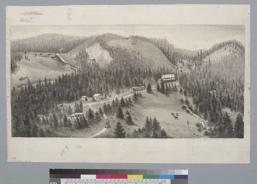 Gold Hill mining camp [Sonora, California]