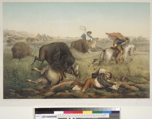 [Bison hunt]