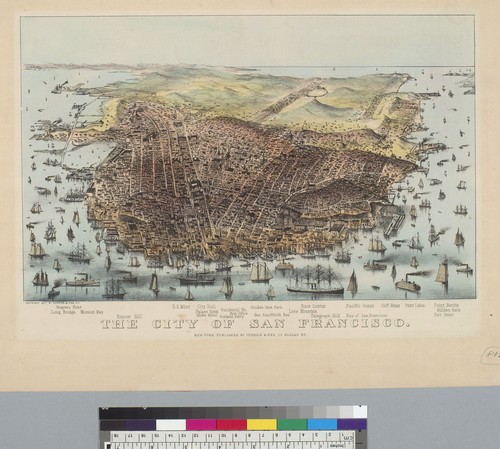 The city of San Francisco [California]