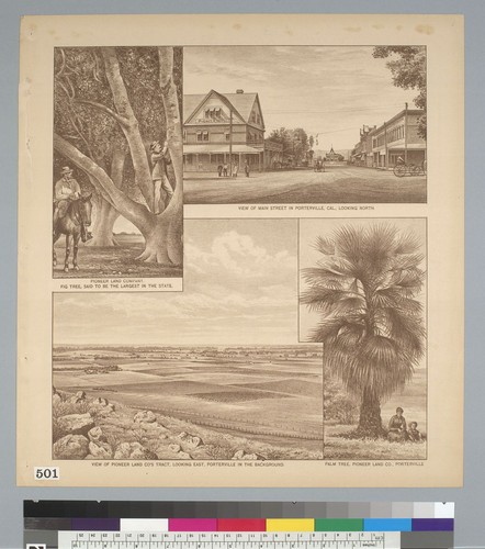 [Views related to Pioneer Land Company, Porterville, California]