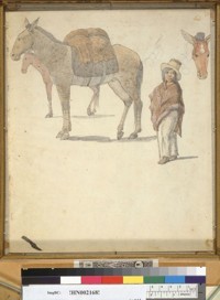 [Mules and Indian boy]