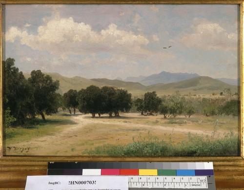 [Valley near Los Angeles, California] — Calisphere