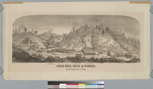 Gold Hill Mine & Works, Quartzburgh, Boise Co[unty], Idaho