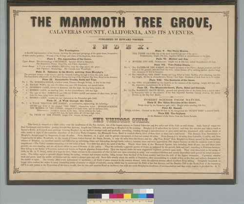 The Mammoth Tree Grove, Calaveras County, California, and its avenues [title page]