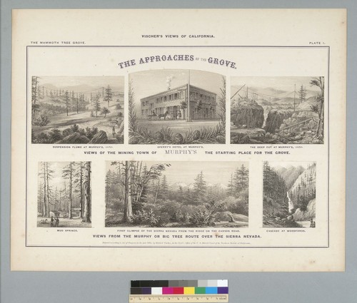 The approaches of the grove: views of the mining town of Murphy's [California]