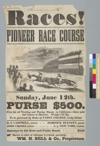 Races! Pioneer race course