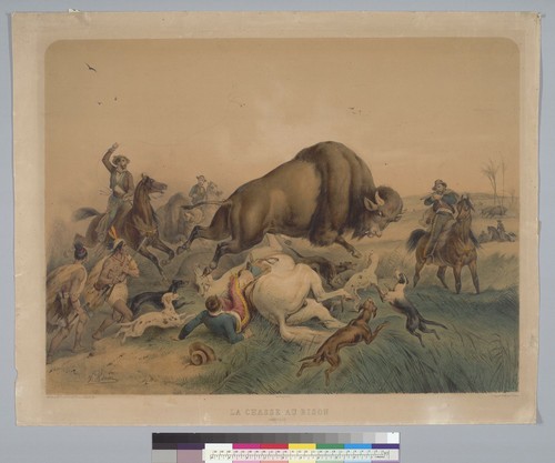 [Bison hunt]