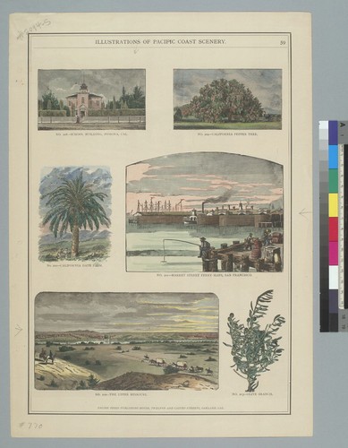 Illustrations of Pacific Coast scenery