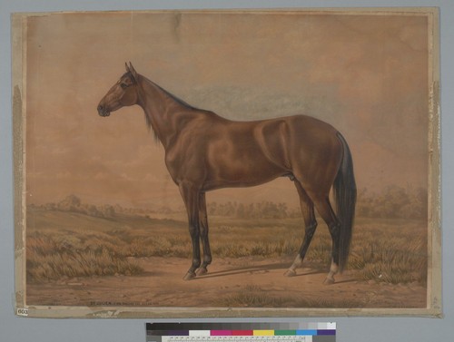 St. Julien [horse]