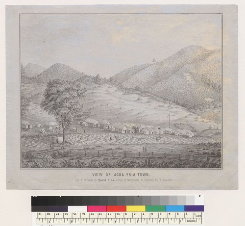 View of Agua Fria town [Mariposa County, California]