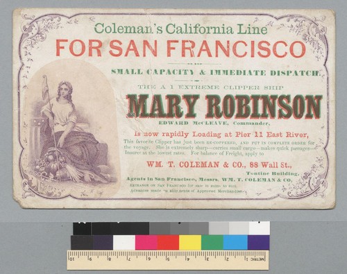 Mary Robinson [ship]