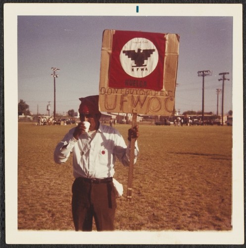 Safeway - United Farm Worker's Grape Boycott, National City