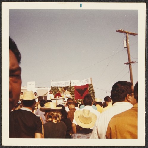 Safeway - United Farm Worker's Grape Boycott, National City