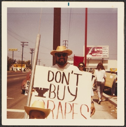 Safeway - United Farm Worker's Grape Boycott, National City