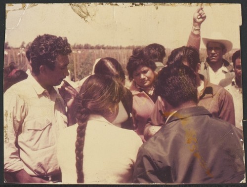 Imperial Beach United Farm Worker's strike