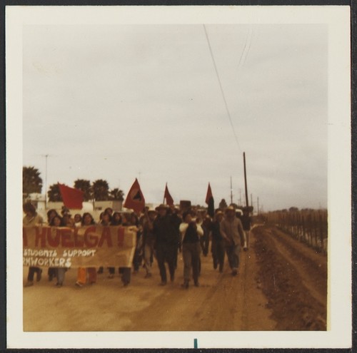 Imperial Beach United Farm Worker's strike