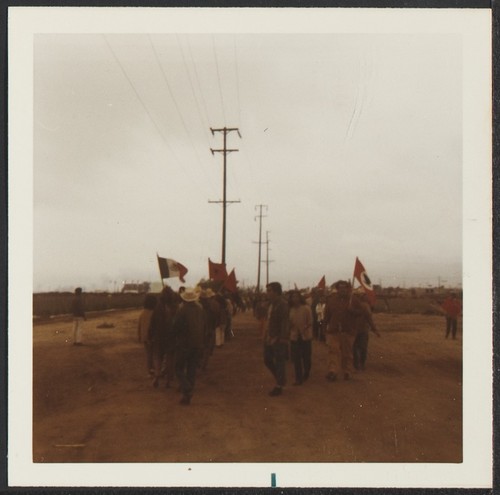 Imperial Beach United Farm Worker's strike