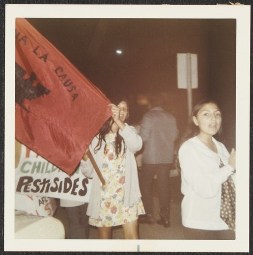 Safeway - United Farm Worker's Grape Boycott, National City