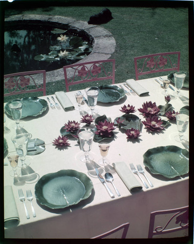 [Unidentified tableware and table settings]