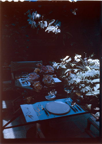 [Unidentified tableware and table settings]