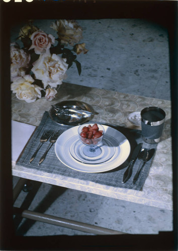 [Unidentified tableware and table settings]