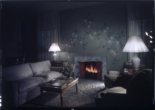 [Unidentified living rooms]