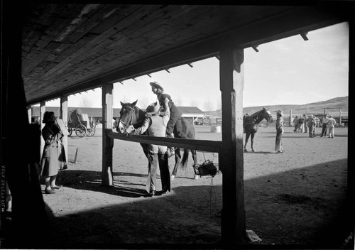 Vallejo Ranch. Horses and riders