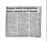 Gypsy moth infestation fears stirred as 4 found