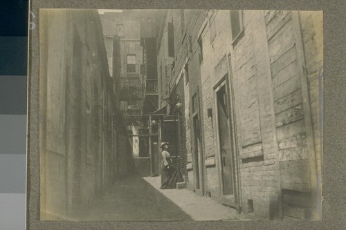 [Unidentified alley, Chinatown.]