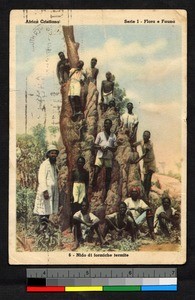 Missionary father and others standing on and around a termite mound, Libya, ca.1950