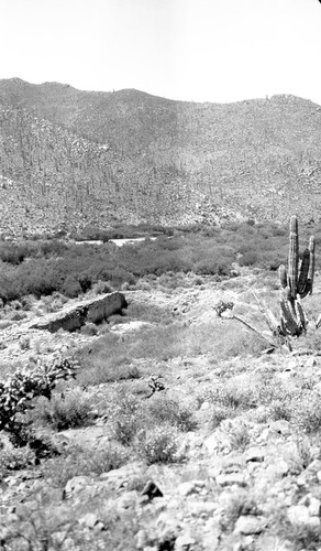 Old reservoir in central part of the valley of Mission San Fernando de Velicatá