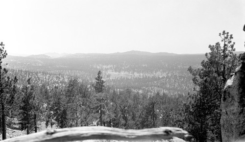 The broad, even surface of the plateau of the Sierra San Pedro Mártir