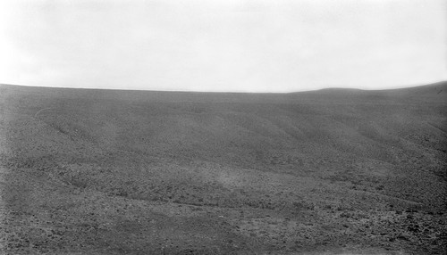 East of Cerro Banda and north of abalone camp