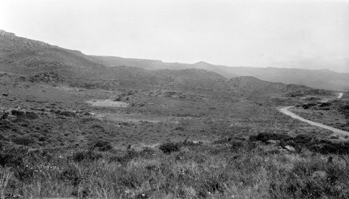 Basalt cliffs and little "slice blocks," looking south from a point in the road from which we made a section across