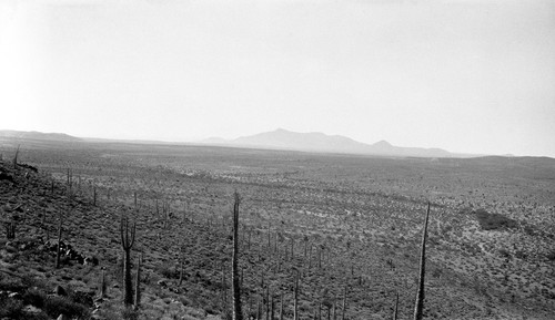 The Buenos Aires Plain, facing north toward San Juan de Dios