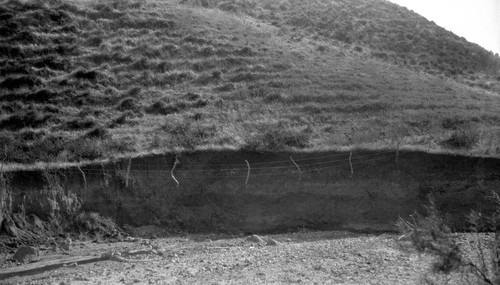 Toro Valley, eight fence posts hanging in air since last rains