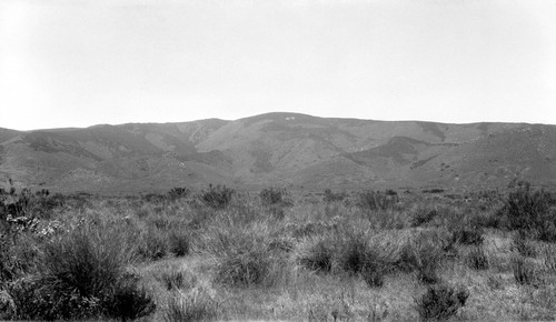 Facing southwest from upper San Antonio Plain