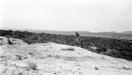 Typical shell heap at the outer edge of the Upper Terrace of the El Rosario Valley, east of the first mission